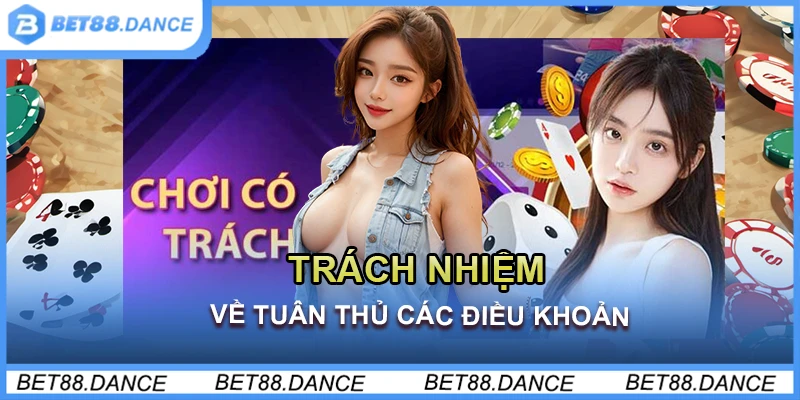 Trách nhiệm về tuân thủ các điều khoản