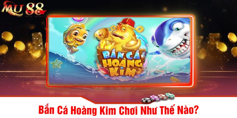 Bắn Cá Hoàng Kim Chơi Như Thế Nào?