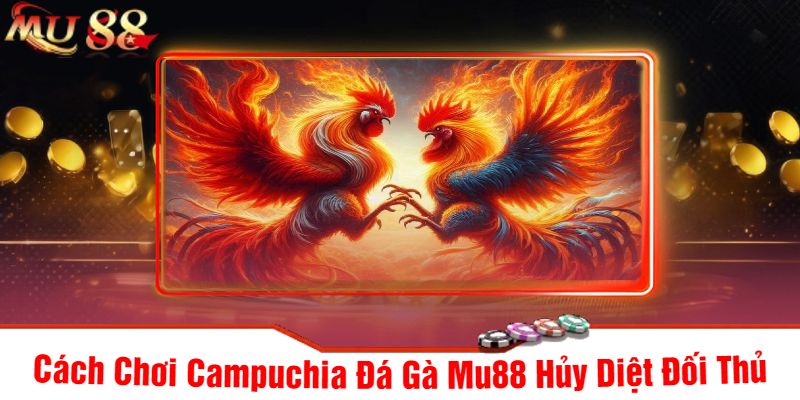 Cách Chơi Campuchia Đá Gà Mu88 Hủy Diệt Đối Thủ