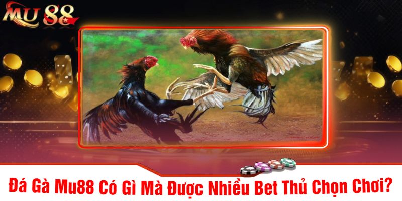 Đá Gà Mu88 Có Gì Mà Được Nhiều Bet Thủ Chọn Chơi?