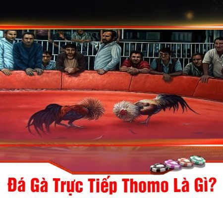 Đá Gà Trực Tiếp Thomo – Tham Gia Trận Đấu Kịch Tính Tại Mu88