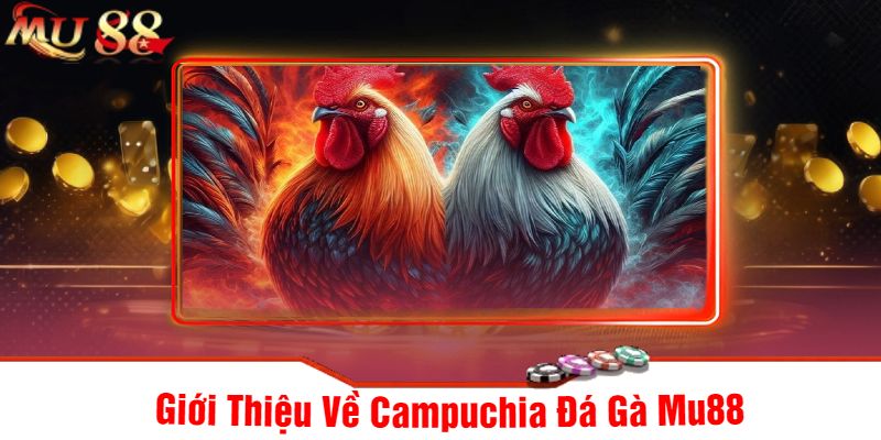 Giới Thiệu Về Campuchia Đá Gà Mu88