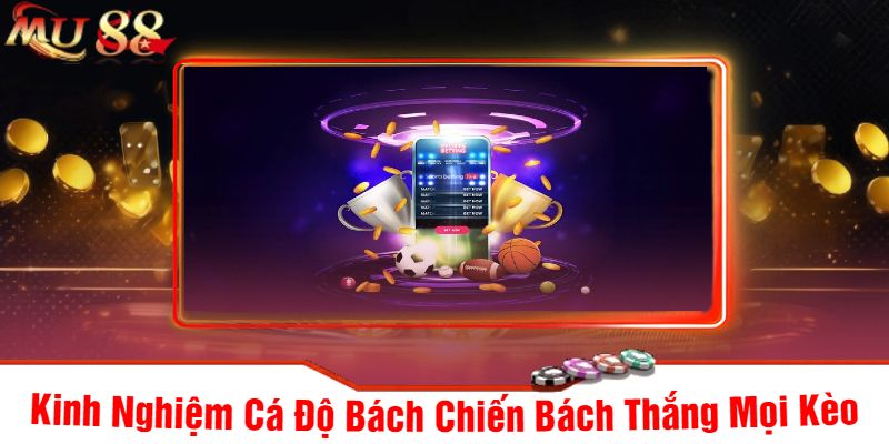 Kinh Nghiệm Cá Độ Bách Chiến Bách Thắng Mọi Kèo