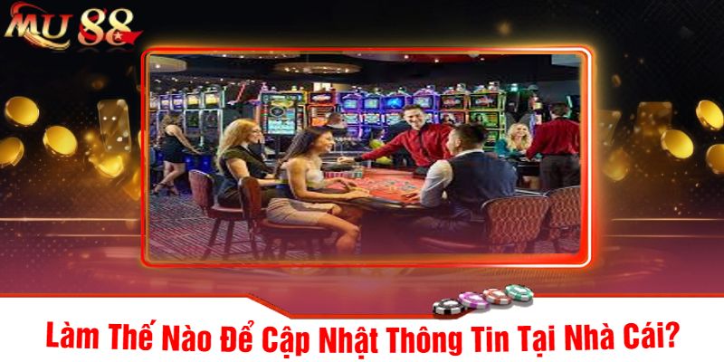 Làm Thế Nào Để Cập Nhật Thông Tin Tại Nhà Cái?