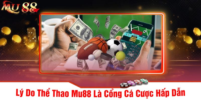 Lý Do Thể Thao Mu88 Là Cổng Cá Cược Hấp Dẫn