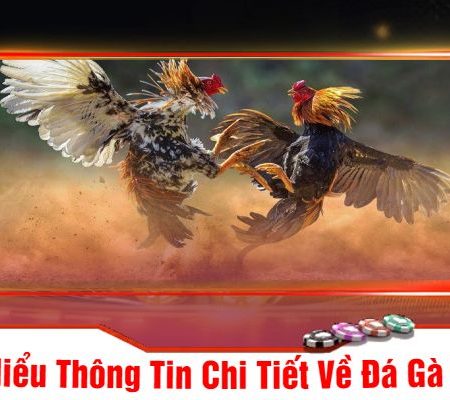 Trải Nghiệm Đá Gà Mu88 – Sân Chơi Hấp Dẫn Cho Mọi Bet Thủ